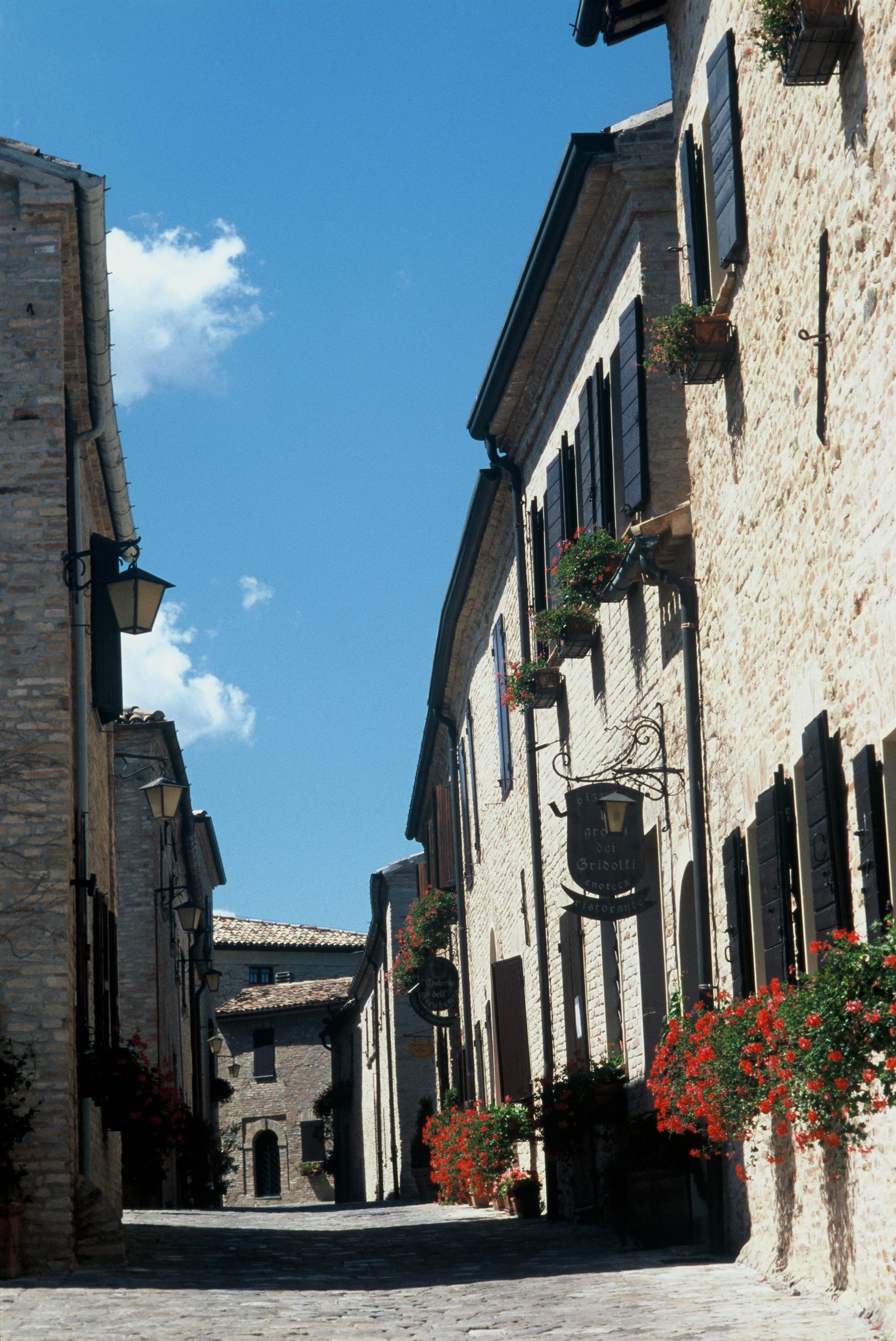 Castello Di Montegridolfo Spa Resort Εξωτερικό φωτογραφία